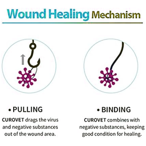 कुत्तों 0.35oz के लिए मौखिक घाव देखभाल जेल प्लास्टिक 100% प्राकृतिक सामग्री की सुरक्षित देखभाल मौखिक घावों की सूजन का इलाज करता है - Product Image 4
