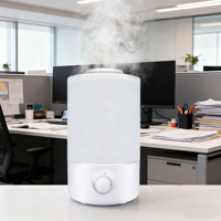 Humidificateur à brume fraîche de haute qualité, réservoir blanc de 4 L, pour chambres à coucher, portable, pour la maison, la voiture