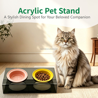 Support de mangeoire surélevé portable en acrylique transparent de luxe pour chat et chien, idéal pour l'intérieur, l'extérieur et les voyages (OEM usine)