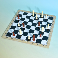 Jeu de cartes à jouer portable OEM personnalisable, de haute qualité, durable et écologique, avec estampage à chaud doré, pour jeux de table Carrom