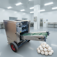 Machine commerciale de décorticage et d'épluchage des coques dures de noix de coco sèches et vieilles