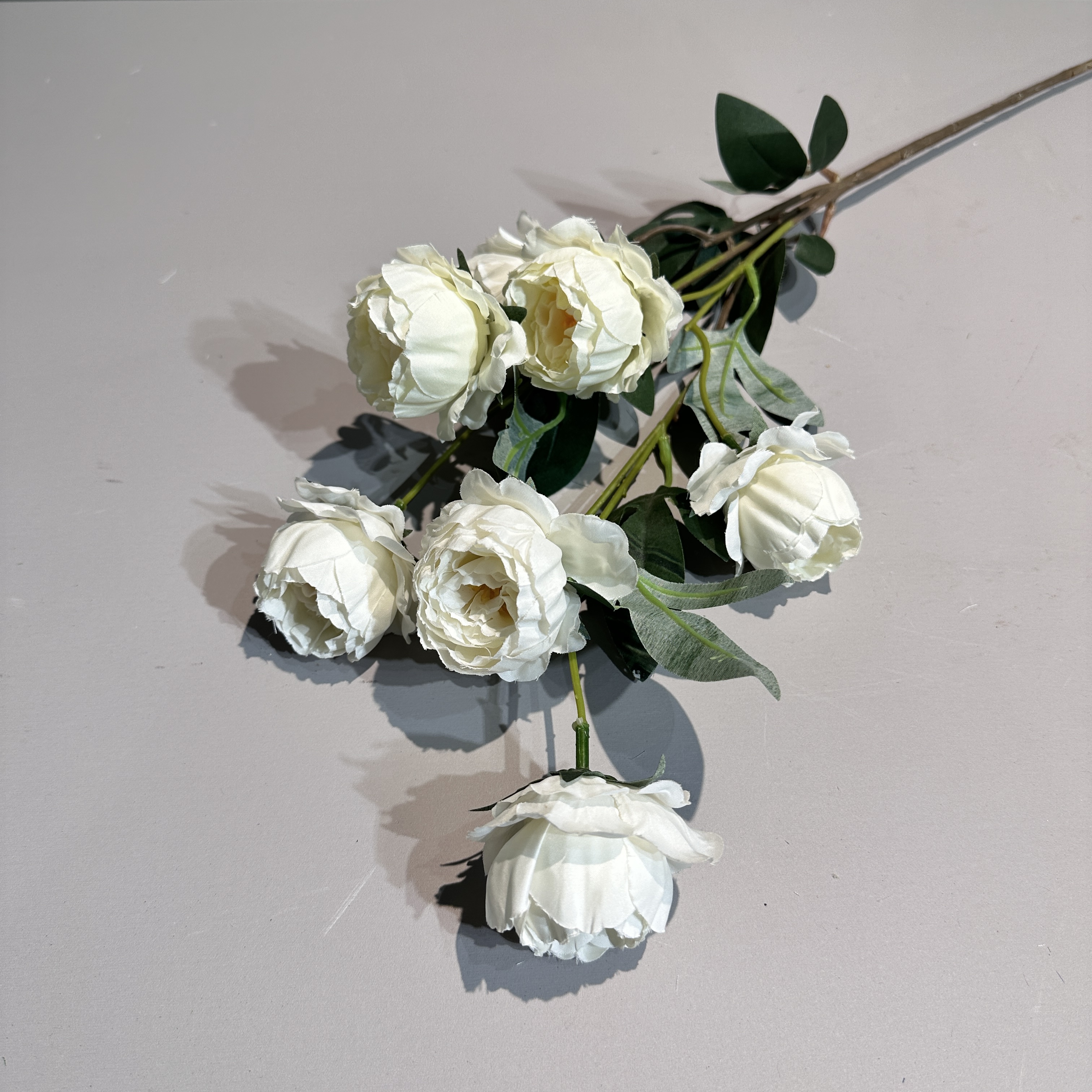 Spring white