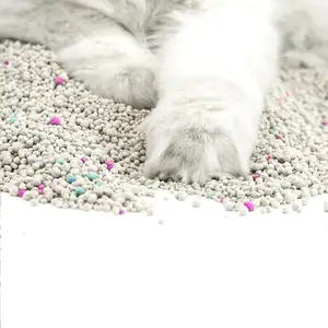 2024 lettiera per gatti in Bentonite di alta qualità più venduta di Amazon con prodotti di punta