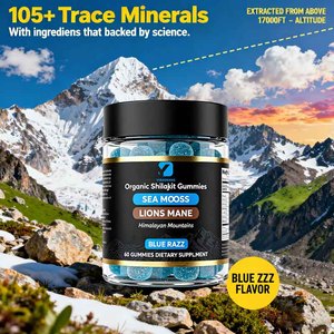 Gomitas de Shilajit Orgánico de Fábrica, Gomitas de Hongo Melena de León, Mayor Resistencia y Energía, Energiza tu Mente y Cuerpo - Product Image 5