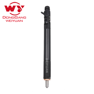 WEIYUAN WY 6650170221 injektor bahan bakar Injector injektor Diesel untuk SsangYong Rexton Euro 4 untuk EJBR04401 Z <span class=keywords><strong>R04401D</strong></span> untuk <span class=keywords><strong>Delphi</strong></span> - Product Image 2