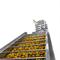 Machine d'extraction automatique de jus de fruits en acier inoxydable 304 pour fraises, tomates, mangues, ananas, avec moteur haute efficacité