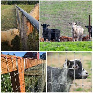 Độ bền kéo cao kim loại Hươu cừu gia súc trang trại hàng rào 50m nhúng nóng mạ kẽm dệt cố định Knot Đồng cỏ hàng rào chăn nuôi bảo vệ - Product Image 6