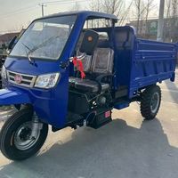 Tricycle de fret en vrac 150cc, moto diesel à trois roues pour concessionnaires et commerçants africains