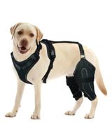 Attelle de genou pour chien antidérapante et réglable, coussinets de protection pour les articulations, attelle ACL CCL pour déchirure du membre arrière, soutien de la rotule luxée