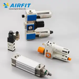 OEM Custom Aluminum Alloy Gas Cylinder Tube Pneumatic Oxygen Air Pneumatic Cylinder