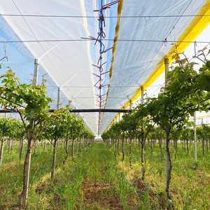 Film UV personnalisable et résistant aux acides pour la protection des vignes et des raisins de table - Product Image 5