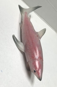 Động Vật Hoang Dã cá mập đồ chơi nhiệt nhựa - Product Image 3