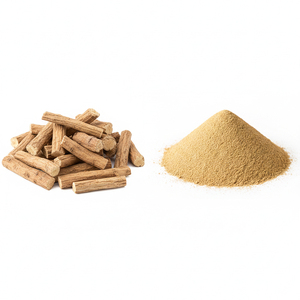Ekstrak Akar <span class=keywords><strong>Bupleurum</strong></span> Chinense Saikosaponin Flavonoid <span class=keywords><strong>Bupleurum</strong></span> Polisakarida Bubuk Kelas Makanan Sehat Larut Air 1kg - Product Image 5