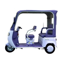 Nouveau tricycle électrique pour passagers, batterie au plomb-acide 60V, tricycle 1000W, siège double rangée, tricycle électrique fermé pour adultes