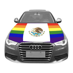 Personnalisé fierté arc-en-ciel LGBT Gay Tansqender lesbienne USA Gay Canadien Gay Mexique Gay capot de voiture drapeau de couverture - Product Image 5