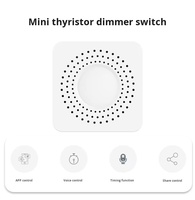 Module d'éclairage intelligent Tuya WiFi Zigbee à gradation, contrôle par application, en PC, compatible Alexa Google Home, pour garage et hôtel, 2 voies