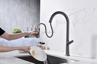 Robinet de cuisine à poignée spéciale, pulvérisateur extractible Torneira, robinet de cuisine en laiton, robinet d'eau à 2 fonctions, robinet d'évier, mitigeur Grifo moderne