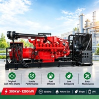Groupe électrogène silencieux Cummins au gaz naturel 300kW 400kW 500kW 800kW 900kW 1000kW, multi-combustibles GPL Biogaz Gaz Méthane
