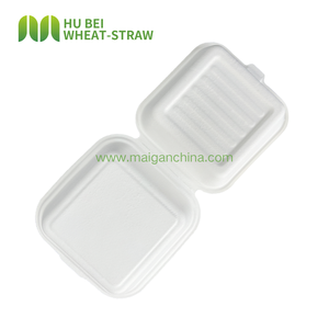 Boîte à clapet carrée 6x6 pouces en bagasse, jetable, pour gâteaux, burgers, frites, contenant alimentaire écologique - Product Image 3