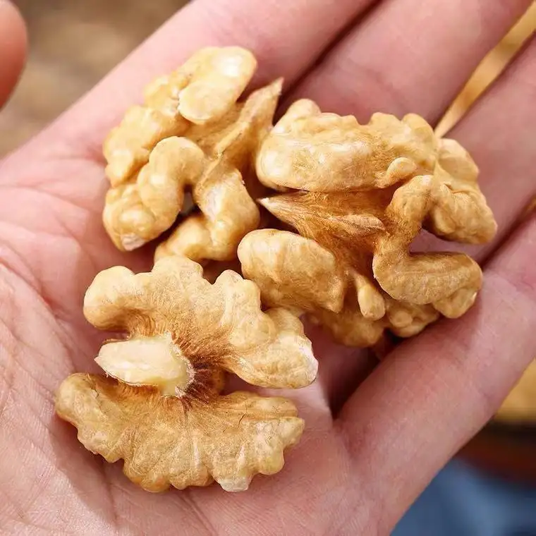 Walnuts Best Seller Manufacturer Wholesale Premium Organic Walnuts in shell China walnut kernel for sale