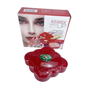 Wenkbrauw Kit Make Private Label Custom Merk Top Verkoop Multifunctionele Langdurige Cosmetica Complete Make-Up Kit