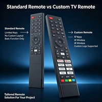 Télécommande vocale sans fil 45 touches pour Smart TV LCD, Android TV Box, OEM ODM, coque personnalisée, fourniture d'usine