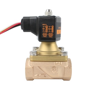 วาล์วขดลวดแม่เหล็กไฟฟ้าแบบเปิด AC24V AC220V DN20 DN15 PS-22 Vern - Product Image 1