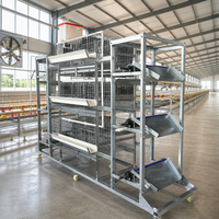 Cage à poulets de type H pour volailles pondeuses, capacité 10 000 oiseaux, conception d'élevage galvanisée