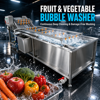 Fabrieksdirecte bubbelwasmachine, aanpasbaar, SUS304 fruit- en groentebubbelwasser voor voedselverwerkingslijnen