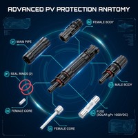Connecteur de Fusible PV Étanche 1000V/1500V 10A-30A à Contact Cuivre IP67 Mâle/Femelle pour Applications de Systèmes d'Énergie Solaire