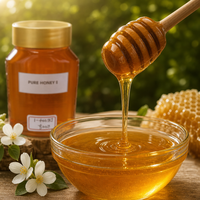 Pot en plastique de 500g de miel naturel avec couvercle doré, miel pur doré pour le thé, le petit-déjeuner, la pâtisserie et la restauration