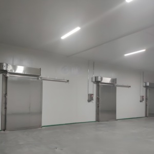 Pintu geser penyimpanan dingin otomatis tugas berat dengan Motor untuk dok pemuatan logistik - Product Image 3