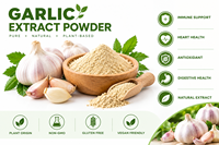 Poudre d'extrait d'ail en vrac en gros 10:1 20:1 Allicine naturelle standardisée de qualité alimentaire en bouteille Matière première