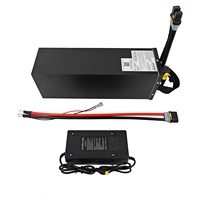 Batterie au lithium AMORGE 16S12P 60V 60AH 300A pour moto tout-terrain électrique SurRon