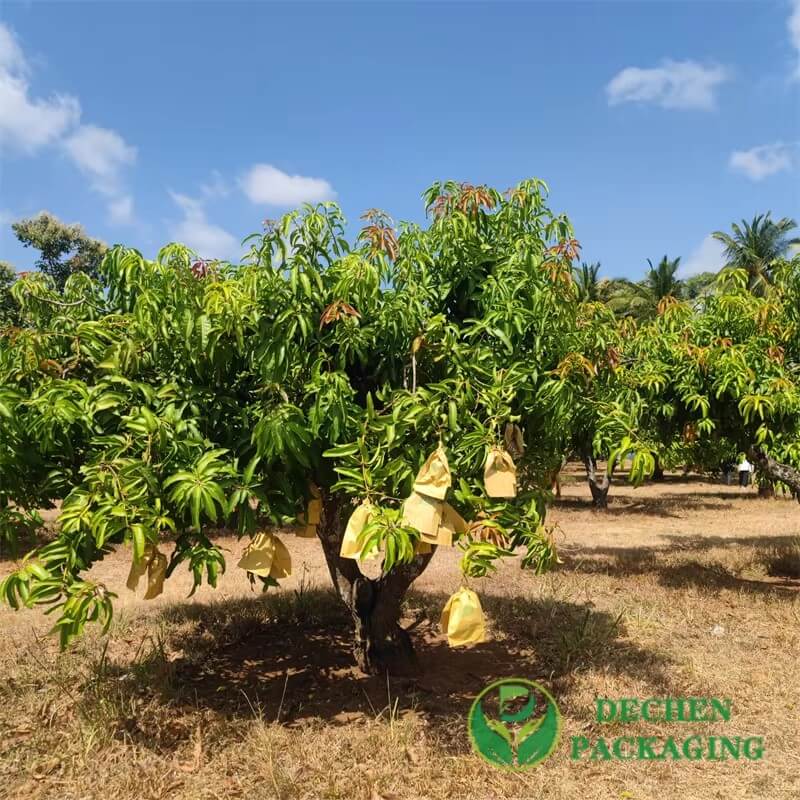 Wholesale Grow Bags Logo Printed Apple Banana Cover Protection Bag