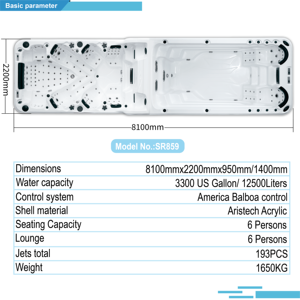SR859 Commercial-Grade Dual-Zone Swim Spa Hydromassage and Swimming <strong>Pool</strong> Combo for <strong>Wellness</strong> for Outdoor Resorts and Homes - Product Image 4