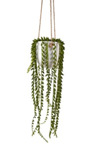 OH ARTS Jardinière murale <span class=keywords><strong>en</strong></span> plastique 63 cm avec guirlande de perles dans un <span class=keywords><strong>pot</strong></span> <span class=keywords><strong>en</strong></span> céramique et support de 55 cm - Product Image 4