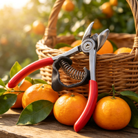 Fruitpluk schaar, tuin oogst schaar voor sinaasappel, appel, druif, fruitboom snoeien en bloemen trimmen