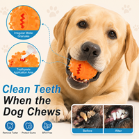 Balle distributrice de friandises en TPR pour chien, jouet à mâcher dentaire à picots pour l'alimentation interactive et couleur personnalisée, vente en gros