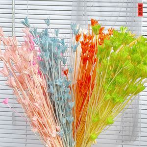 Flores de Anís Estrellado Naturales y Coloridas, Preservadas, de 40-60 cm, Duraderas de 3-5 Años, para Decoración del Hogar, Bodas, Graduaciones, Navidad - Product Image 4