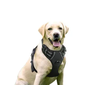 Adjustable outdoor pet vest 3M reflective strip Oxford cloth material dog harness