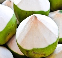 COCO FRESCO JUNTO DE SU CASCAJA DE ALTA CALIDAD, FÁCIL DE ABRIR / COCO CON ANILLO / COCOS FRESCOS DE ALTA CALIDAD FÁCILES DE ABRIR (Kaylin +84 817092069)