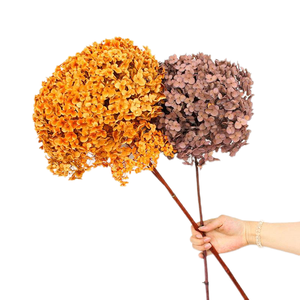 Absorption Éternelle Tige Unique Anna <span class=keywords><strong>Hortensia</strong></span> Préservé Fleur Séchée <span class=keywords><strong>Hortensia</strong></span> Opp Sac Cadeau Valentine <span class=keywords><strong>Hortensia</strong></span> Préservé - Product Image 3