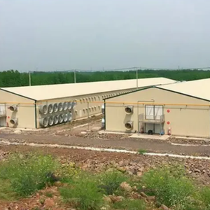 Edificio Prefabbricato Minimalista in Acciaio Leggero Zincato per Allevamento di Pollame e Uffici con Garanzia di 5 Anni - Product Image 6