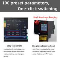 Limpiador Láser de Pulso BingYan 300W JPT, Máquina Portátil de Limpieza Láser para Eliminar Óxido y Pintura en Moldes, Aluminio y Madera