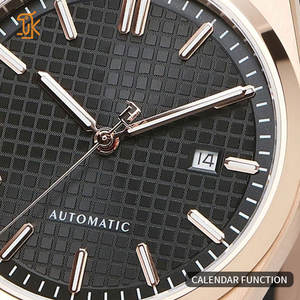 Montres automatiques vintage de luxe pour hommes, lumineuses, créez votre propre marque personnalisée, fabricant de montres sans logo, OEM/ODM - Product Image 2