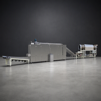 Ligne d'extrusion de nourriture pour animaux de compagnie de 1 tonne par heure, production automatique en acier inoxydable de grande capacité