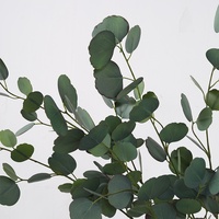 Grensoverschrijdende simulatie zijdeachtige eucalyptusblad dubbelzijdige 80cm DIY decoratie bloemstuk eucalyptus