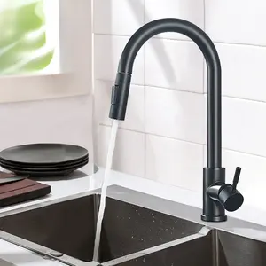 Rubinetto da cucina in acciaio inossidabile 304, rubinetto dell'acqua moderno, spruzzatore estraibile, rubinetti del lavandino del miscelatore, ottone nero 2021