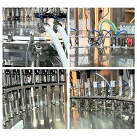 Automatische 10-spuitjes vul- en afsluitmachine voor detergent, fruitsap, saus, melk, pasta en vloeistoffen in zakjes met PLC-besturing